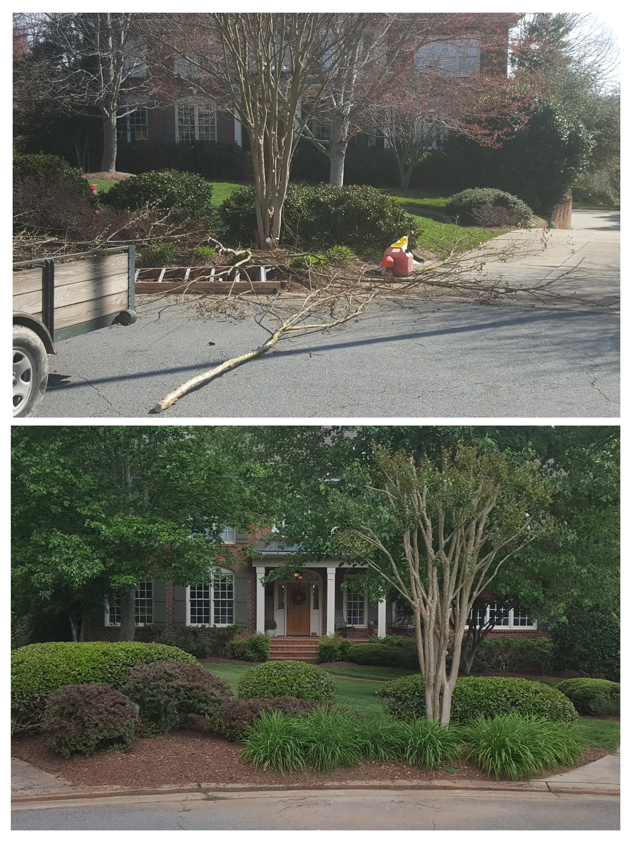 Before and after residential landscaping cleanup
