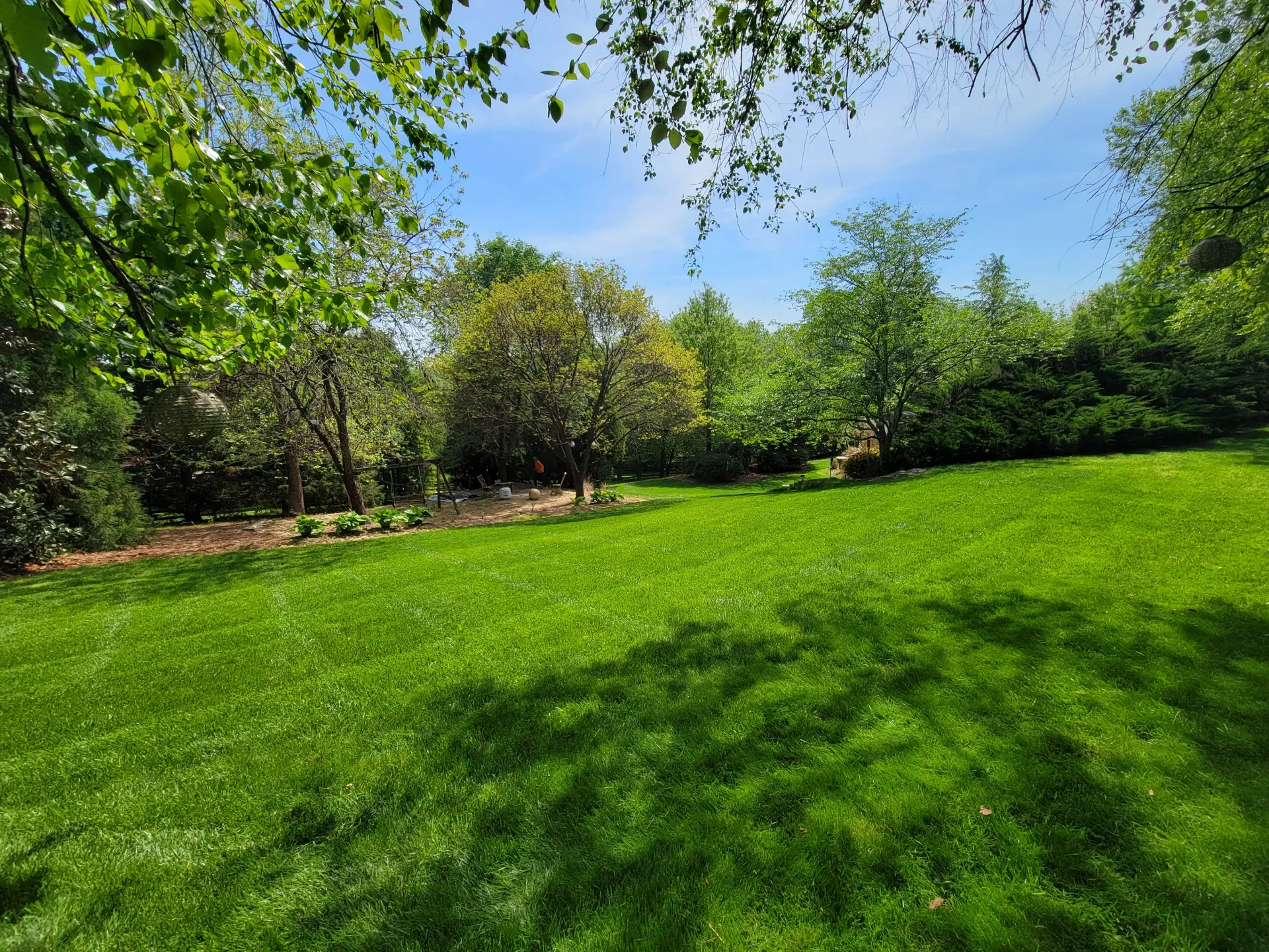 Vibrant green lawn under a sunny sky