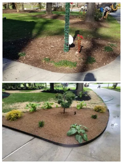 This image displays a before-and-after view of a curved landscape bed renovation featuring new mulch, black edging, and installed plants.