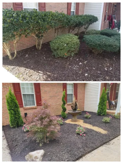 This split image displays a dramatic before-and-after transformation of a residential garden bed, replacing old shrubs with new plantings, dark mulch, and a central water fountain.